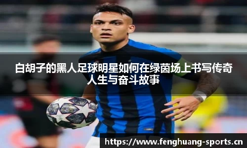 凤凰体育官方网站